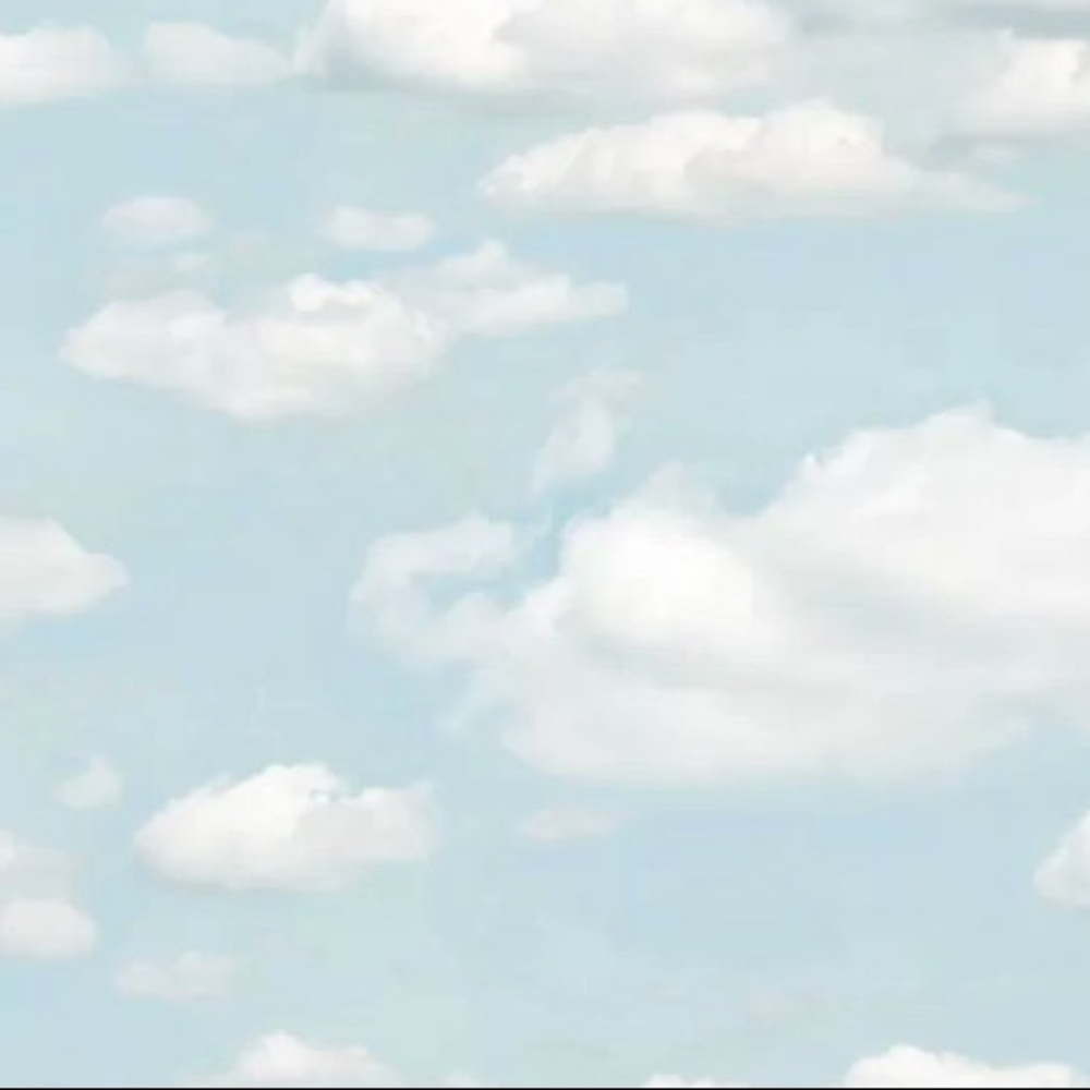 Meet your Posher, Ava